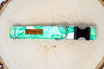 Monstera Eco Canvas Dog Collar