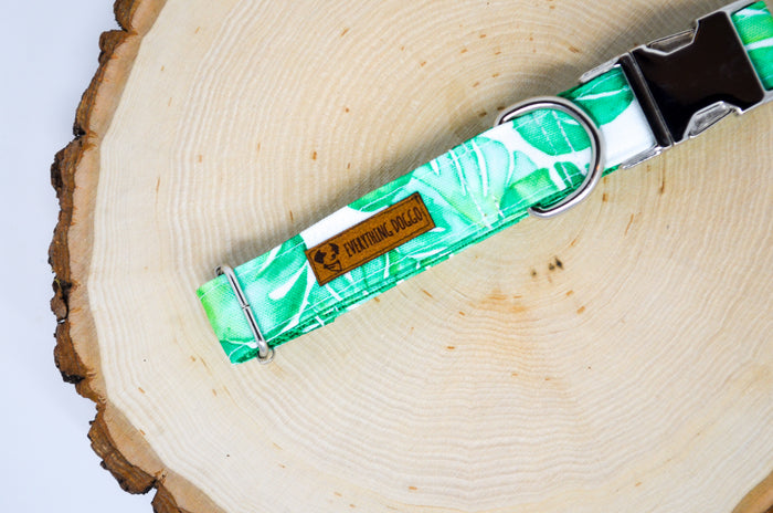 Monstera Eco Canvas Dog Collar
