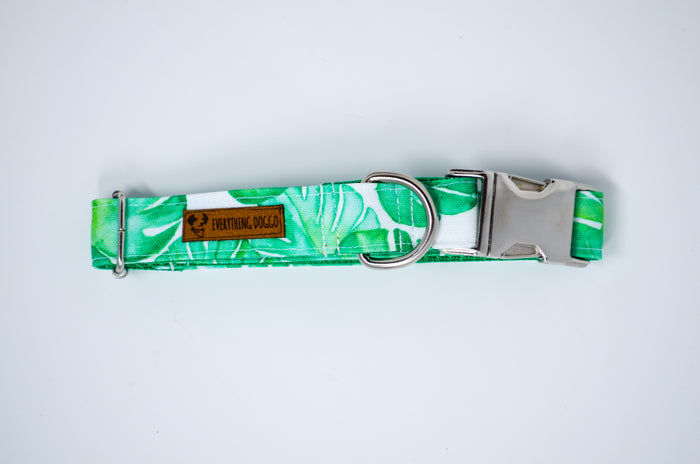Monstera Eco Canvas Dog Collar