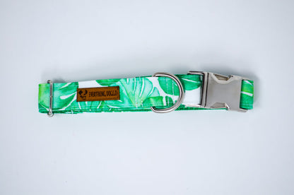 Monstera Eco Canvas Dog Collar