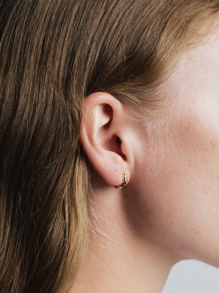 -Earrings-wolfcircus.com