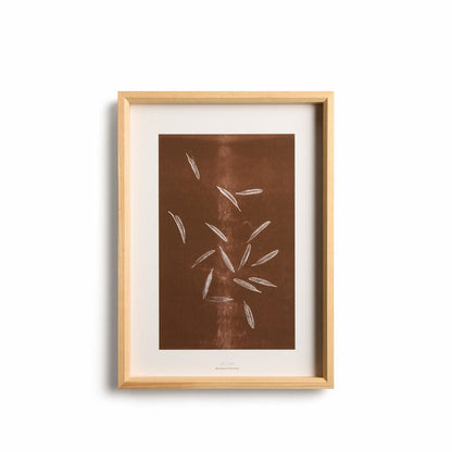 Origins No 2 Limited Print