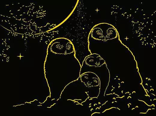 Owls In The Moonlight 500 Pc Gid Puzzle
