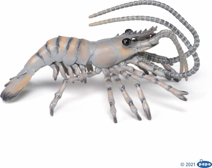 Papo France Shrimp