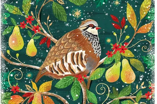Partridge In A Pear Tree - 240