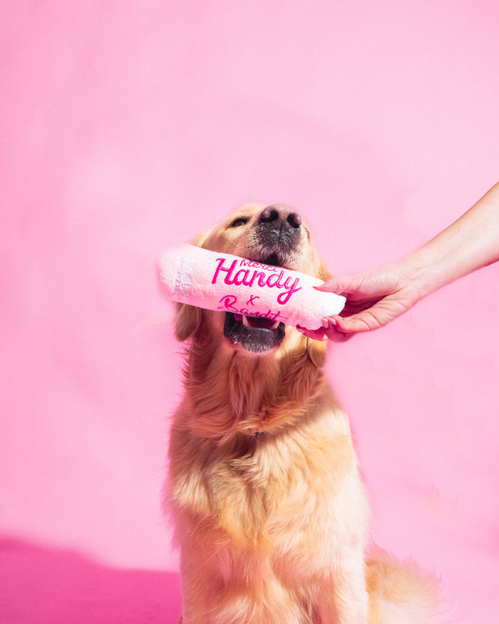 Peluche Lip Gloss x Bandit