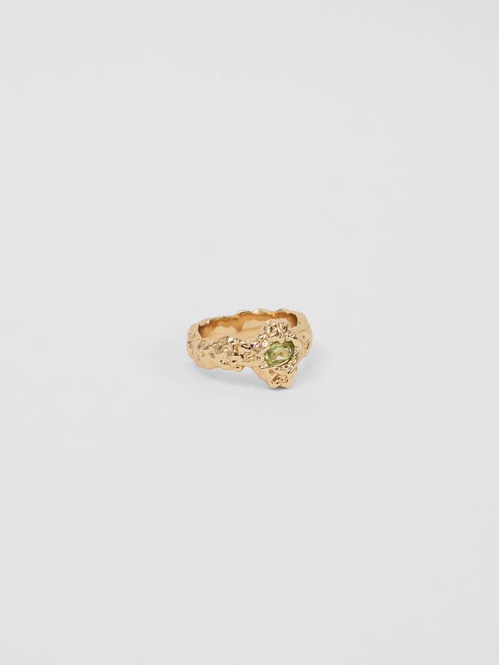 -Rings-wolfcircus.com