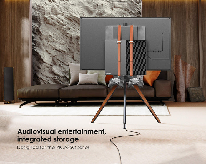 Picasso Video Game Console Organizer G1