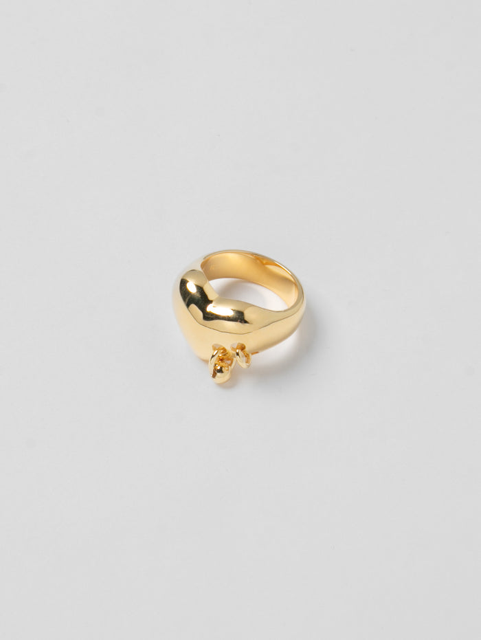 -Rings-wolfcircus.com