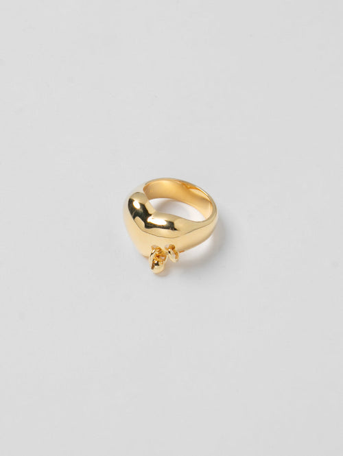 -Rings-wolfcircus.com
