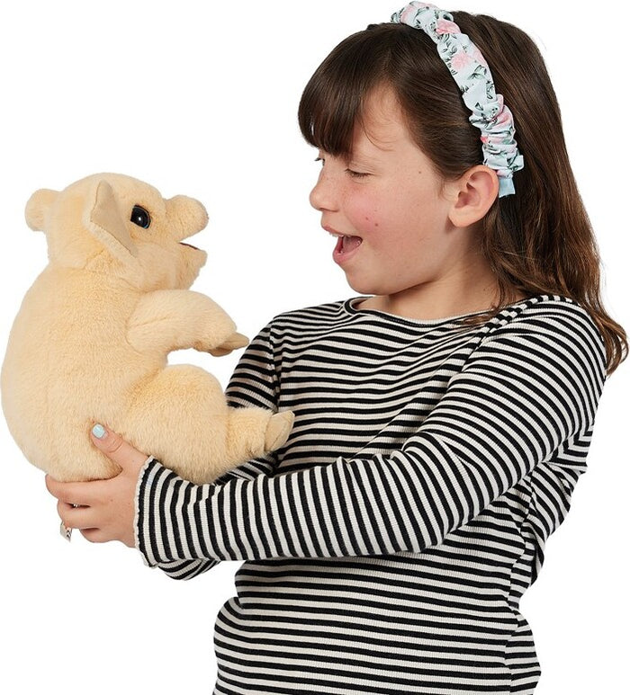 Piggy Puppet