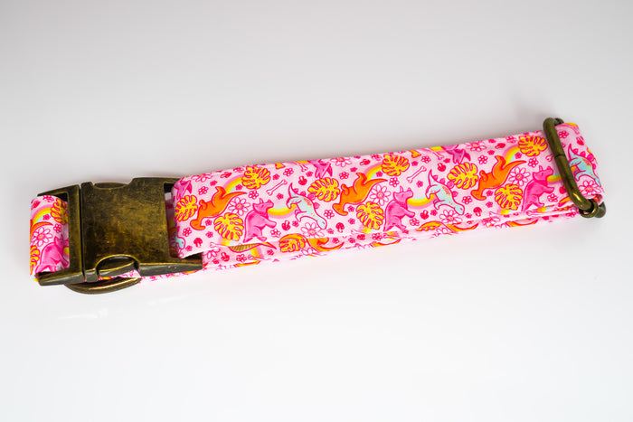 Pink Dinos Dog Collar