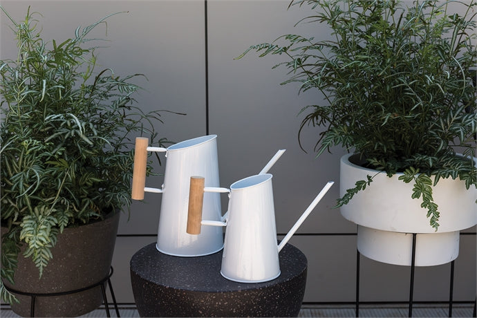 Preston Watering Can