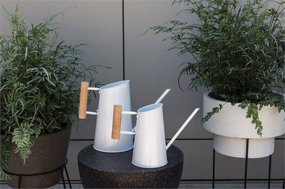 Preston Watering Can