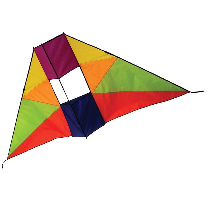RAINBOW 6' CONYNE DELTA KITE