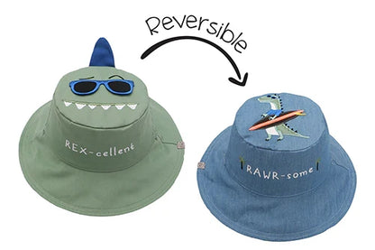 Reversible Dino/Surfer Large 4-6 Sunhat