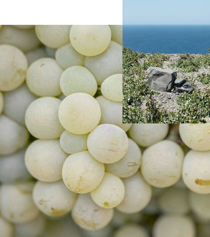 Santorini Grape Velvet Skin Drink Skincare Korres