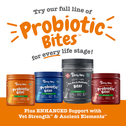 Four containers of Zesty Paw Probiotic Bites in orange, blue, gray, and red bottles with white labels.