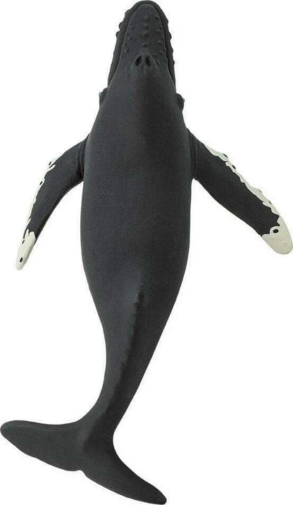 Humpback Whale Toy
