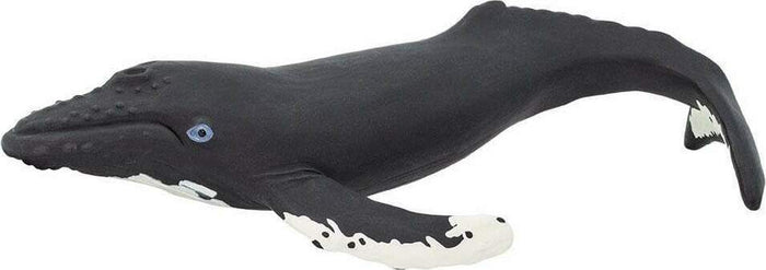 Humpback Whale Toy