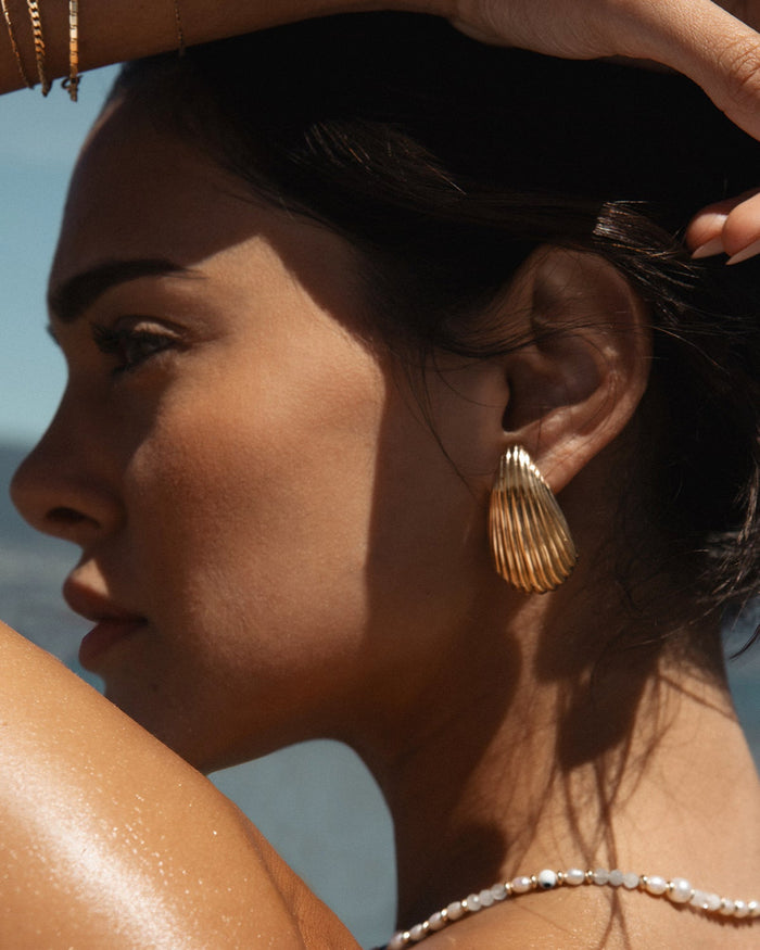 Shell Earrings