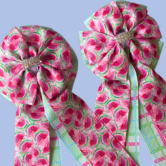 🤩 Show Bows: Watermelon Picnic