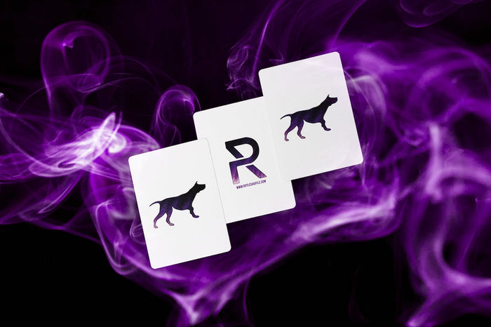Sirius B V5 Playing Cards Playing Cards by Riffle Shuffle Playing Card Company