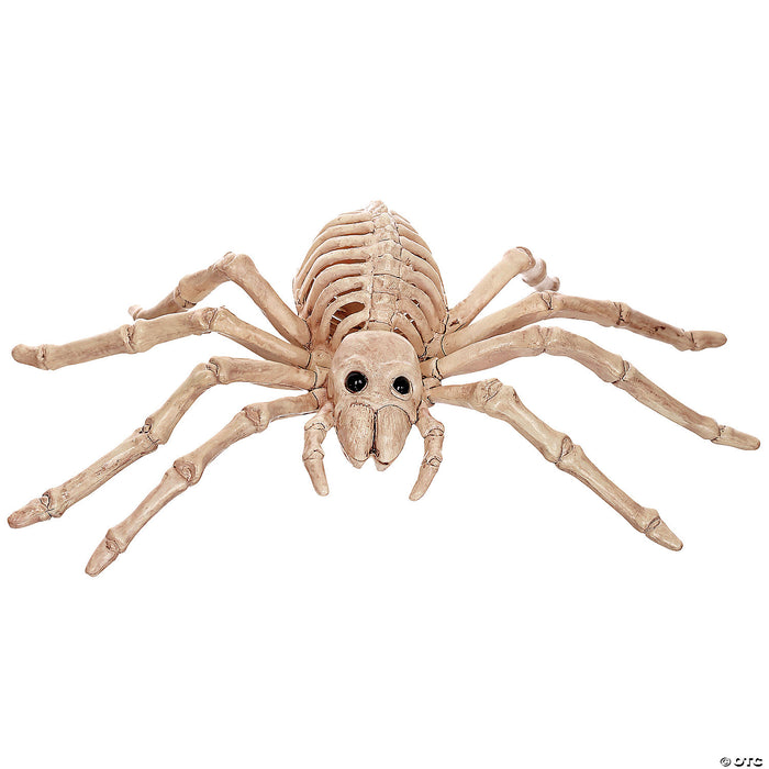 Skeleton Spider