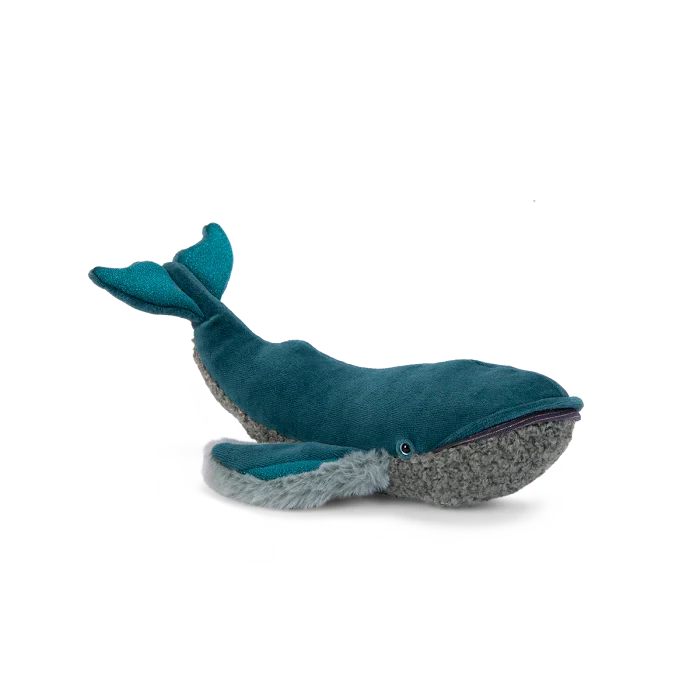 Small Whale Around The World