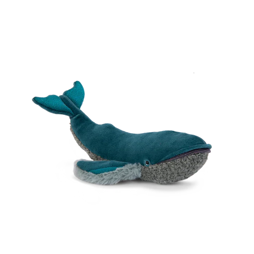 Small Whale Around The World