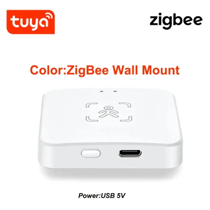 5.8G Zigbee Presence 1
