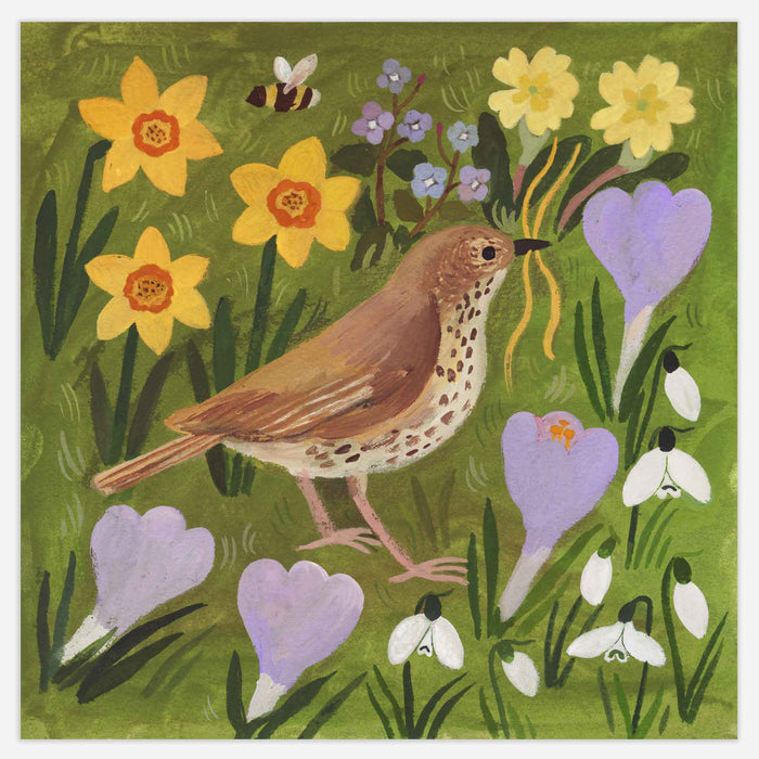 Song Thrush and Spring Flowers Print