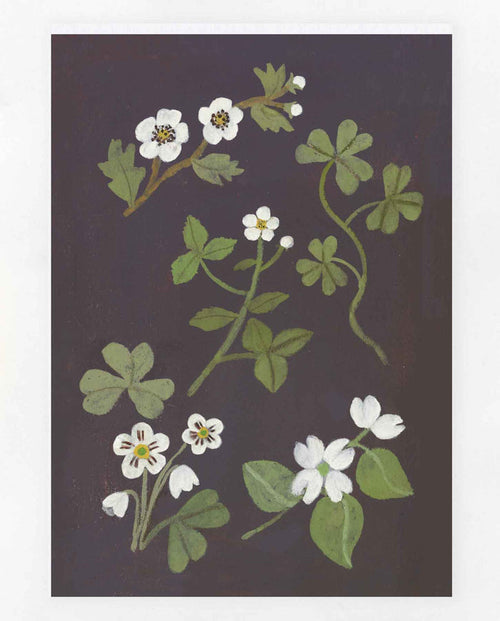 Spring Sprigs Print