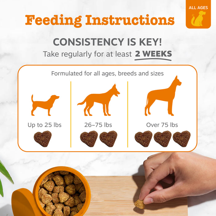 Feeding instructions chart showing dosage guidelines for dogs by weight with silhouettes and heart-shaped treats, plus hand h