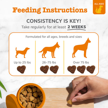 Feeding instructions chart showing dosage guidelines for dogs by weight with silhouettes and heart-shaped treats, plus hand h