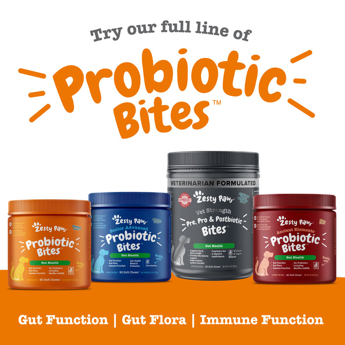 Four containers of Zesty Paw probiotic bites for dogs in orange, blue, gray, and burgundy jars.
