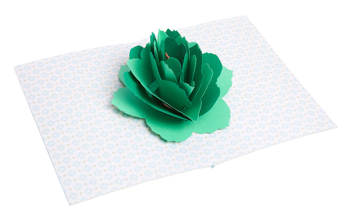 Succulent Signature Pop-Up Card [Birthday]