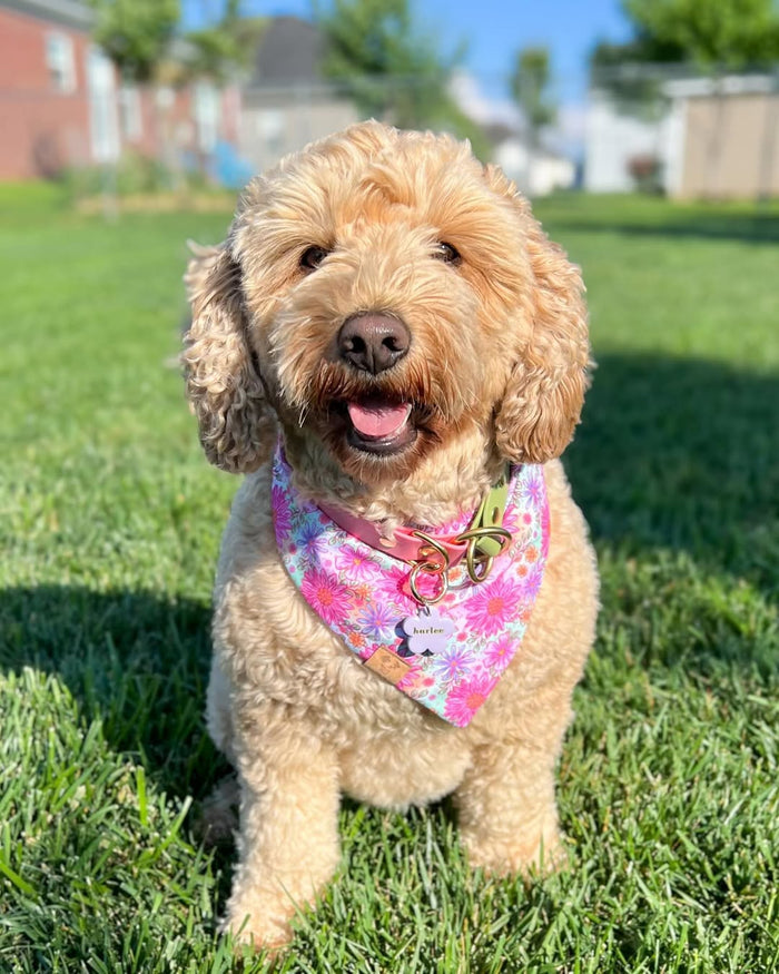 Summer Time Floral - Bandana