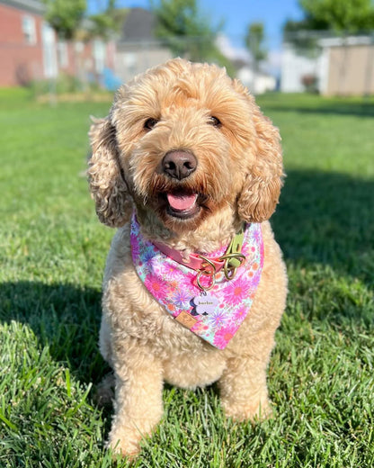Summer Time Floral - Bandana