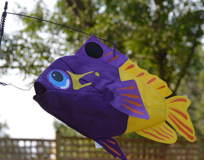 Swimming Fish - Fairy Basslet