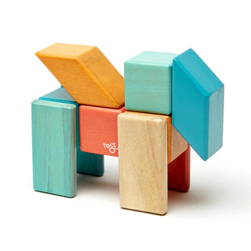 Tegu 24 Pc Set