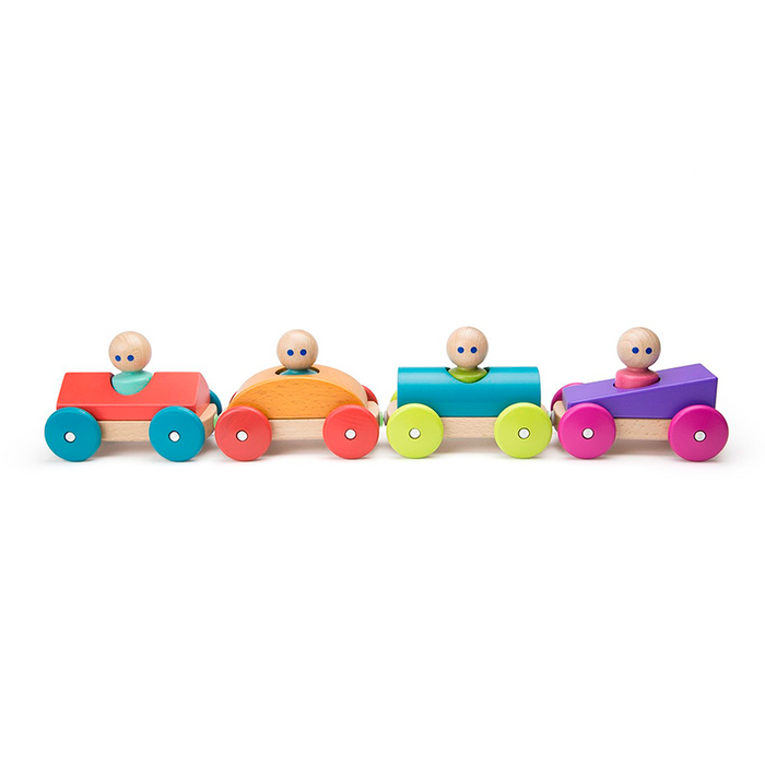 Tegu Magnetic Racers