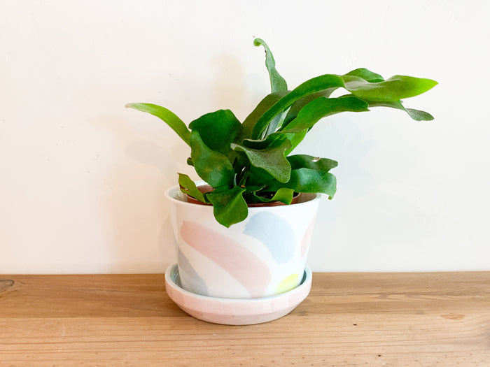 Temple Ceramics Splash Pot