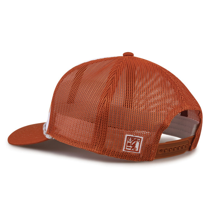 Texas hat