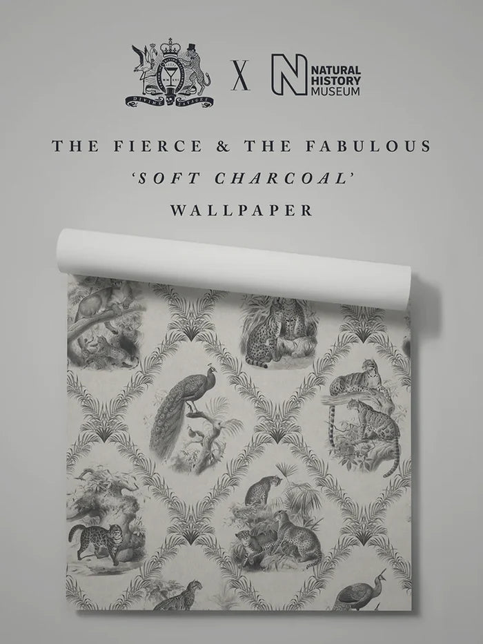 The Fierce & The Fabulous Soft Charcoal