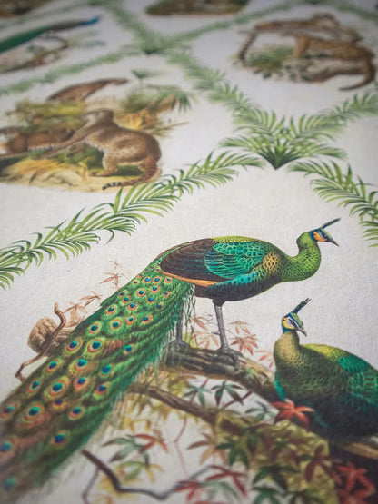 The Fierce & The Fabulous Wallpaper Sample