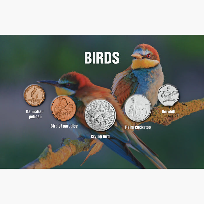 The Five - Birds