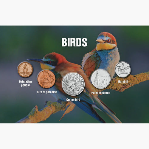 The Five - Birds