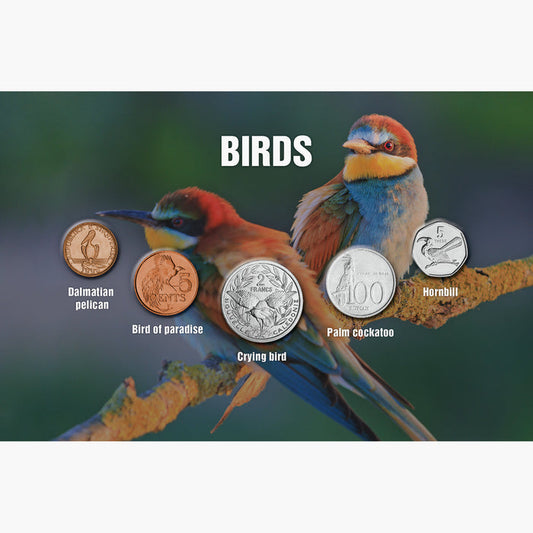 The Five - Birds