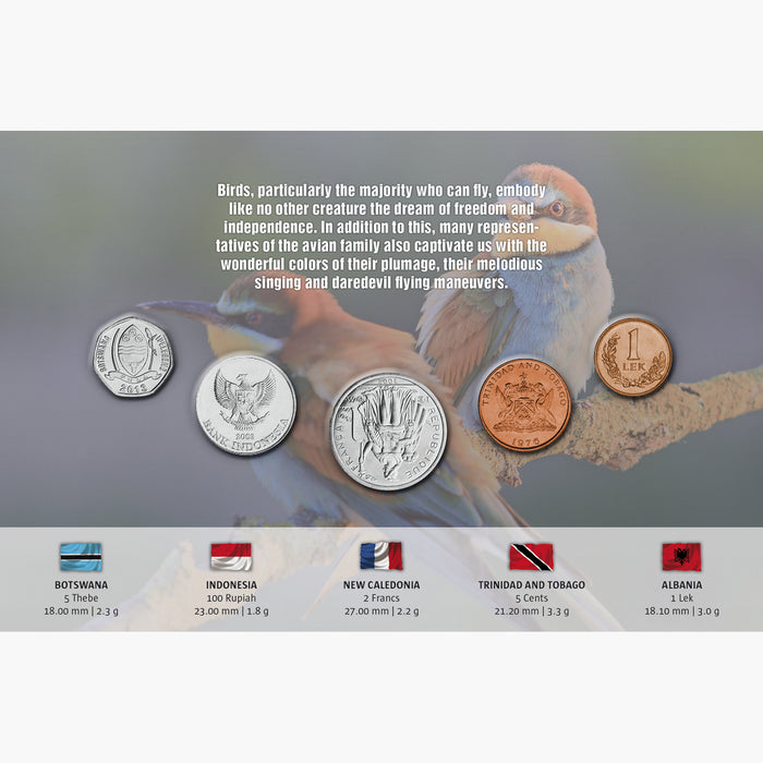 The Five - Birds